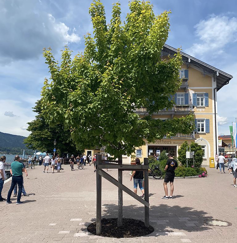 Proyecto de construcción TreeParker® Tegernsee, Rathausplatz