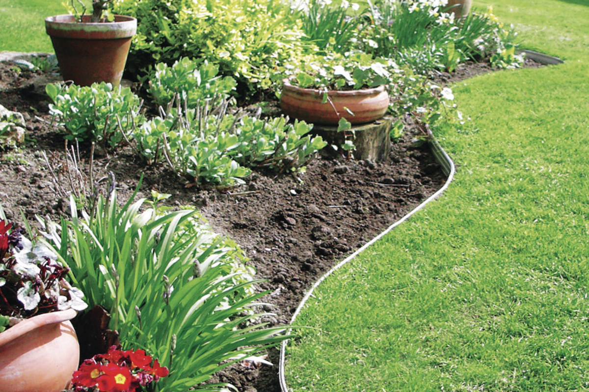 2. Biomasa Vegetal