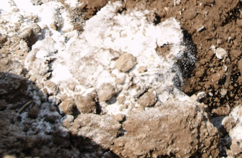 Compactación del suelo
