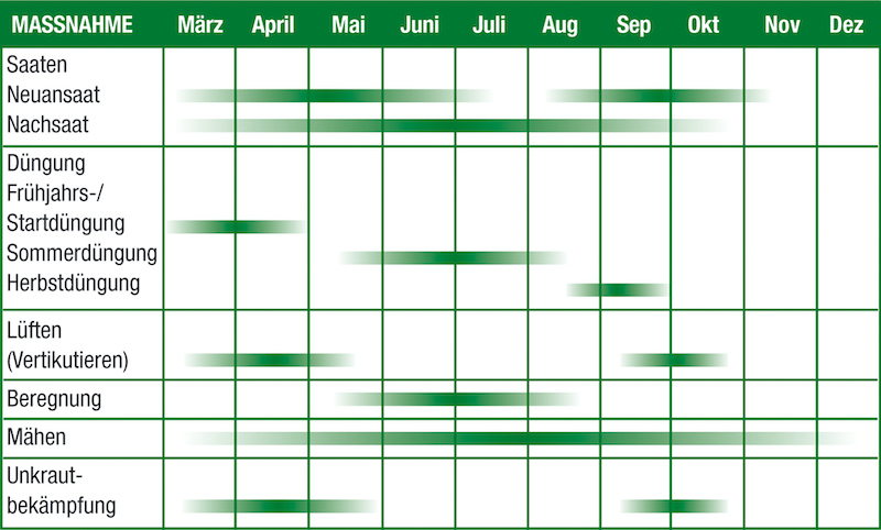 Periodo de uso y ventajas de SEED & SORB®